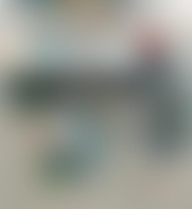 Eco-friendly bin cleaning service