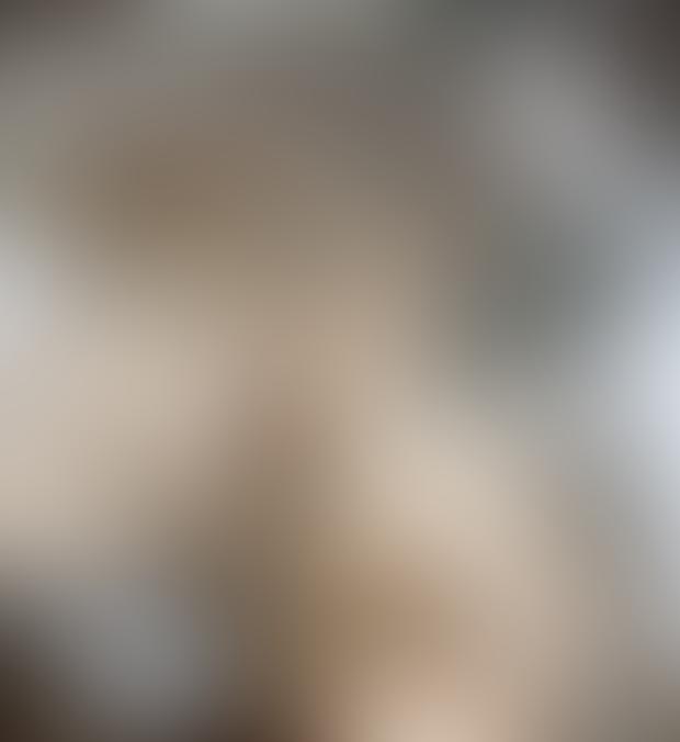 Curbside bin cleaning on trash day