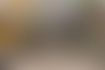 Eco-friendly bin cleaning