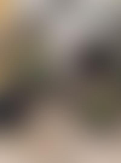 Monthly subscription bin cleaning