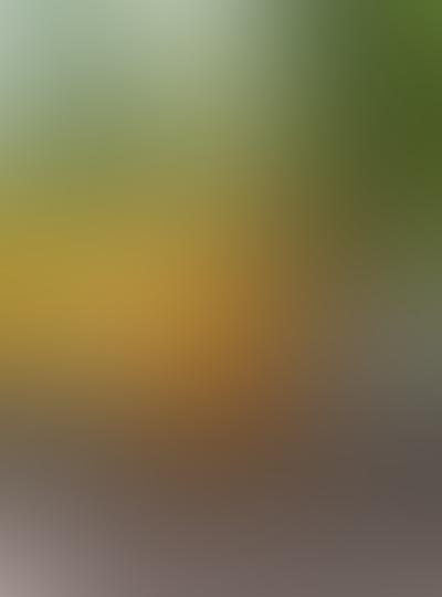 HOA bin cleaning service