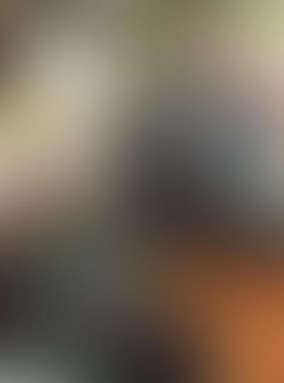 Residential bin cleaning service