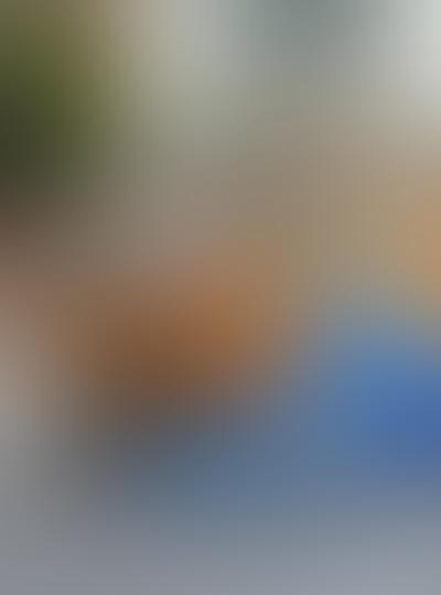 One-time bin cleaning service