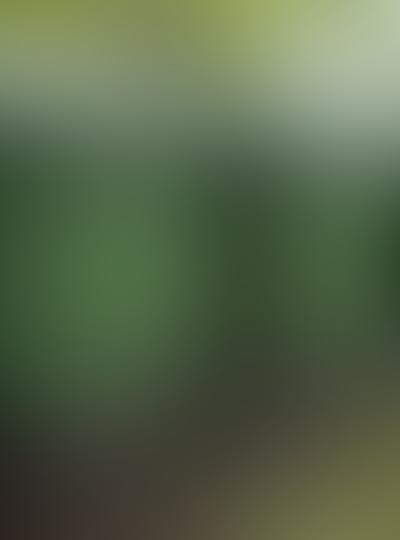 Quarterly bin cleaning plans