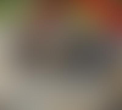 Subscription bin cleaning plans