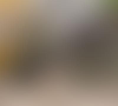 Eco-friendly bin cleaning