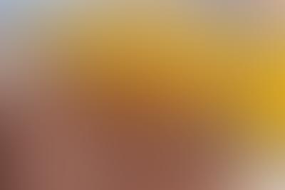 Residential bin cleaning service